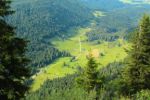 2014-07-05_Laengental-N-Hochweg (740). JPG